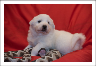 Capture One Session0356